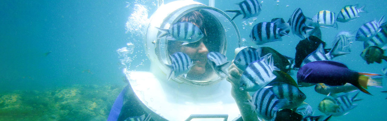 Research diver interacting with fish underwater