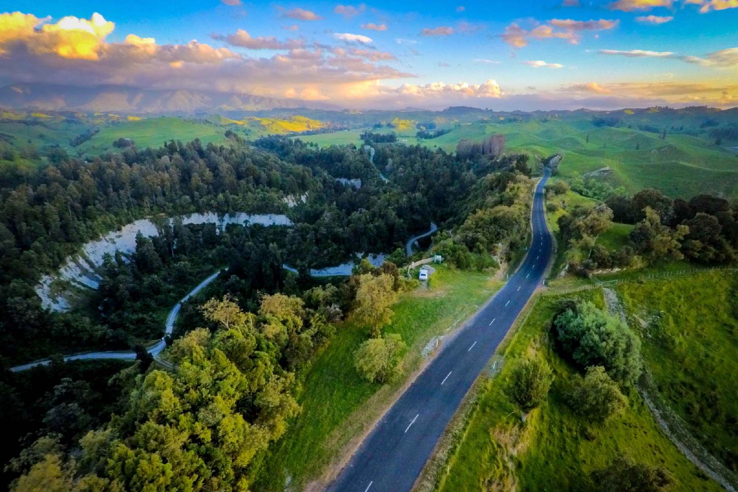 A scenic image of a road and surrounded by green trees and bushland in the Manawatu district