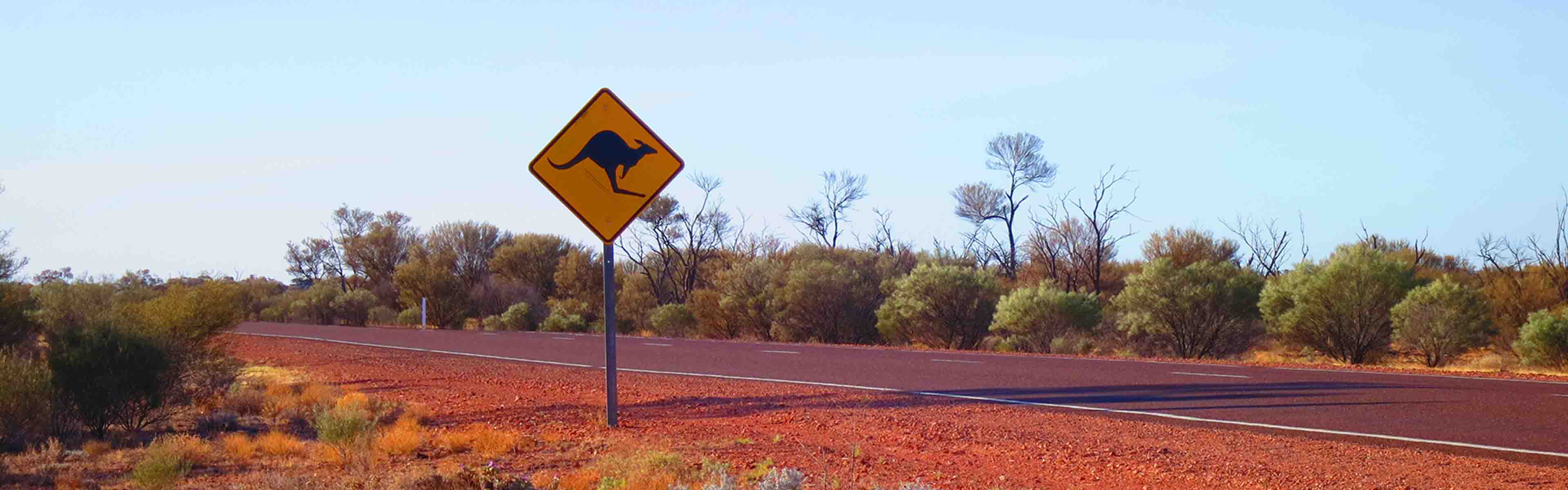Outback road with kangaroo sign