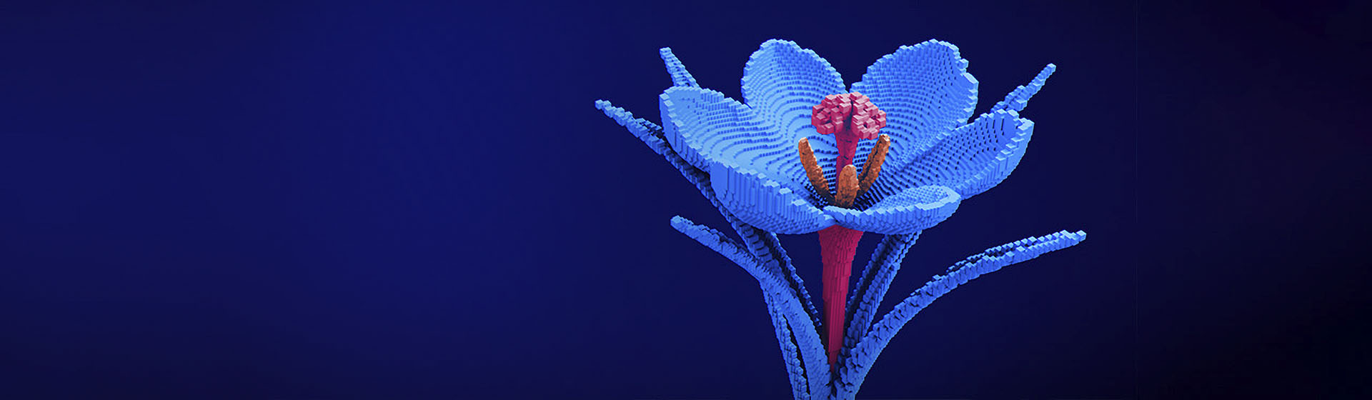 A blue digital flower with a pink stem made up of blocks