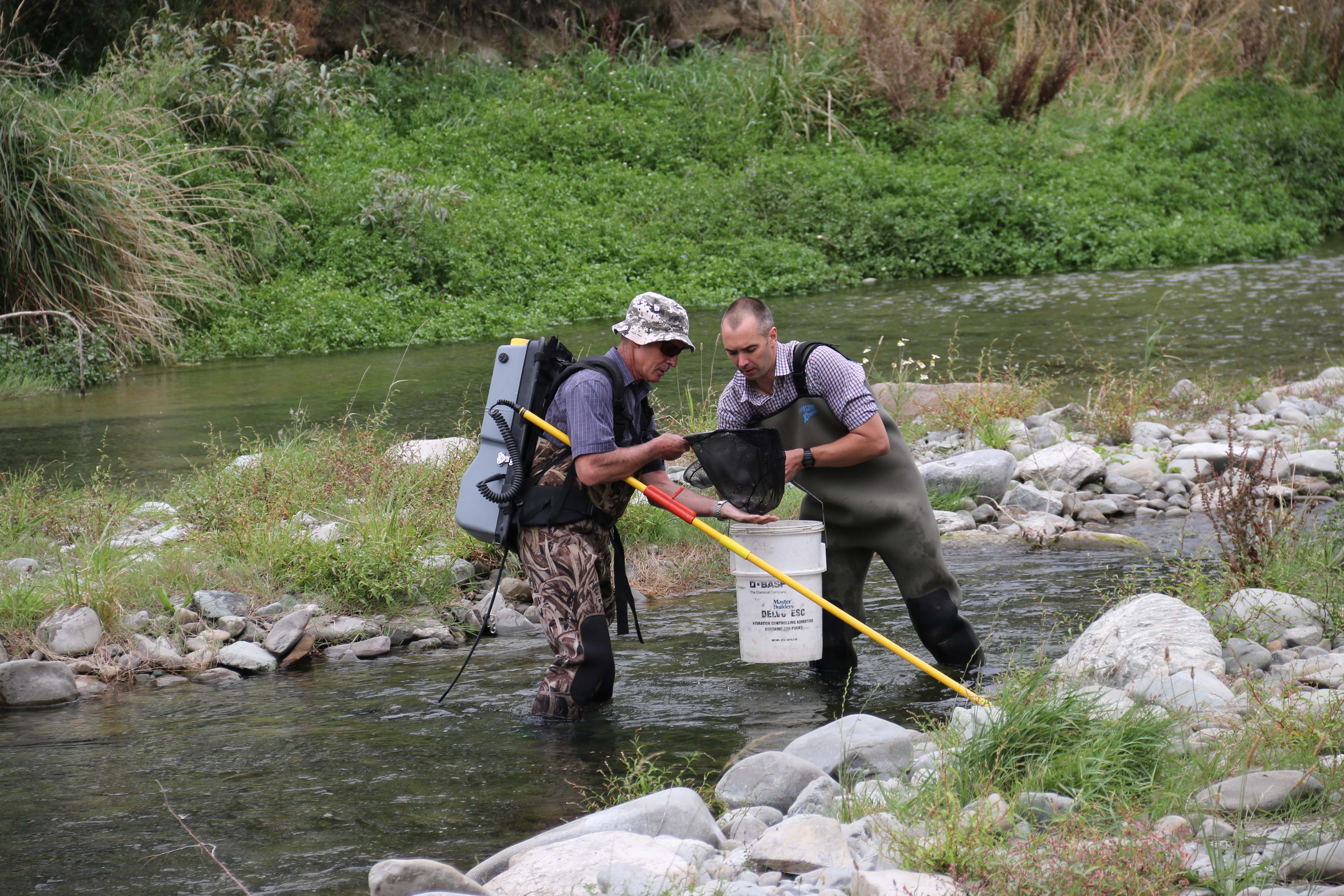 Two men investigate a New Zealand river