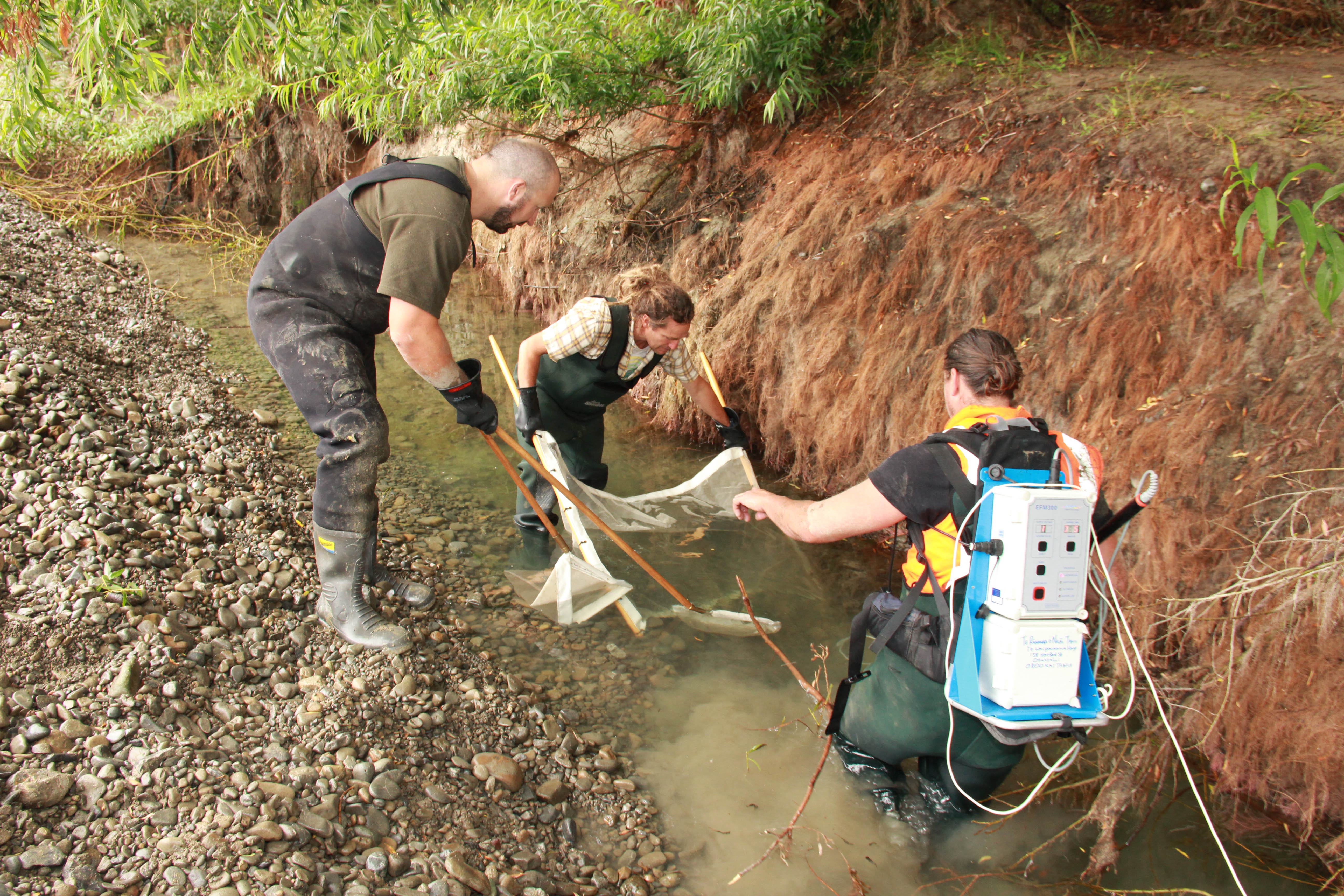 A team investigate water in New Zealand