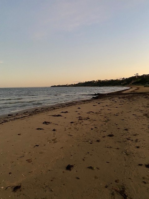 Sandy beach at sunrise