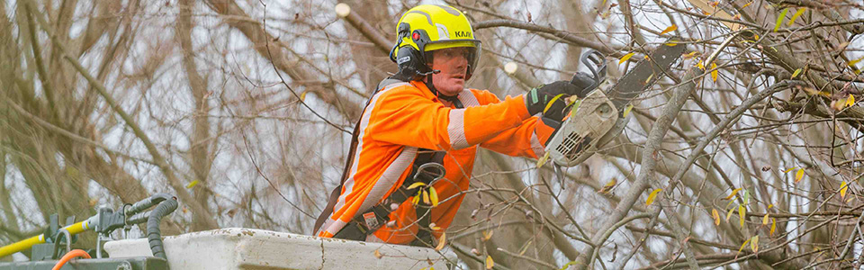 An electrical power-line installer and repairer cutting down branches to create space for a power line to go through