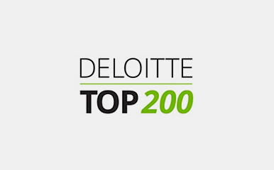 Deloitte Top200 logo